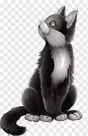 Black Cat Kitten Cartoon Cartoon Black Cat Black And Gray Cat Looking Up Illustration Free Png Kitten Drawing Black Cat Illustration Dog Pop Art