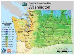 Washington Vegetable Planting Calendar Urban Farmer Seeds