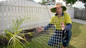 This article covers reasons why they do it and ways to stop them from doing it. Do Huskies Need A Fenced Yard Escape Solutions My Happy Husky