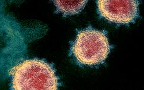 La richiesta è la stessa del ricorso già presentato: Coronavirus Aggiornamento Universita Torino Chiusa Fino Al 7 Marzo Lombardia Chiede Prolungare Chiusura Scuole