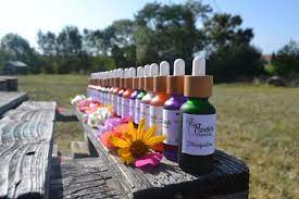 Slow Down Flower Essence Of White Begonia Begonia Semperflorens In 2020 Flower Essences Flax Flowers Begonia