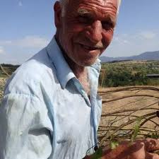 Sample of respondents