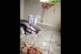 March 7, 2021 by morbid n' macabre. Slaying Fire Crime Scene Warning Graphic Photos South Florida Sun Sentinel