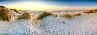 We did not find results for: Galveston Texas Beachfront Rentals Ryson Real Estate