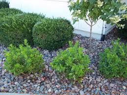 As we all know, there are many kind of options that you can do several design categories landscaping ideas you can find here such as stone and rocks for landscaping, a landscaping ideas for stone and. Home Interior Design Landscaping Rocks