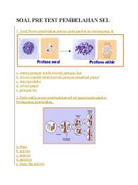 Pada proses oogenesis oosit primer yang mengalami pembelahan meiosis menghasilkan 4 sel anak. Soal Pre Test Pembelahan Sel Pdf