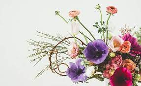 Check spelling or type a new query. Beautiful Flowers By June Pagina Inicial Facebook