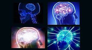 Expanding Brain Meme Stayhipp