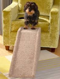Chien Rampe La Main Interieure Animal Chat Chien Lit Canape Etapes Escaliers Portable Leger Ebay En 2020 Rampe Pour Chien Chien Animaux