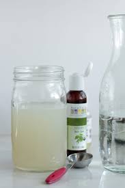 Do you resonate with monica from the television show friends when it comes to cleaning? Diy Homemade Liquid Hand Soap Live Simply