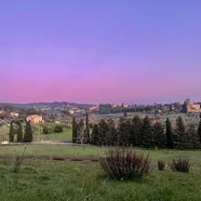 Stream Daniel Rozenberg