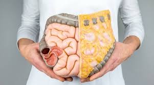 The colon is a vital part of your personal plumbing system. Colon Infection Everything You Need To Know About It Lifestyle News The Indian Express