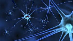 Over the time it has been ranked as high as 196 799 in the world, while most of its traffic comes from usa, where it reached as high as 107 689 position. Lundbeck Brings Third Parkinson S Drug Into Clinic