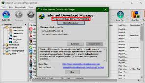 Internet Download Manager Full Without Pay Internet Security Internet Management