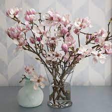Check spelling or type a new query. Tulip Magnolia Flowering Branches Tulip Magnolia Modern Flower Arrangements Beautiful Flower Arrangements