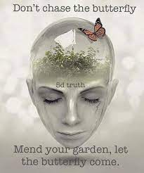 Don't chase the butterfly mend your garden and let the butterfly come self love love flow. Blissful Quotes Don T Chase The Butterfly Mend Your Facebook