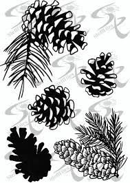 Vector Pine Cones Pine Cone Etsy Pine Cone Drawing Pine Cones Graphic