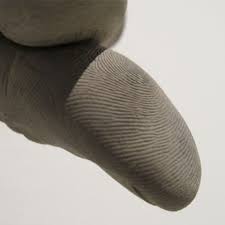 Bildergebnis für Eve Ariza