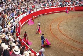 El domingo comienza temporada taurina en Manizales | CONtexto ganadero