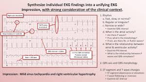 Intro To Ekg Interpretation The 5 Cardinal Rules Youtube