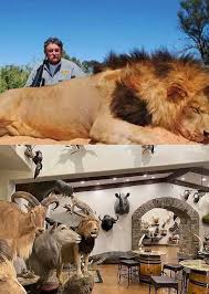American millionaire killed by elephants in Africa while hunting antelope