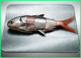 Apa Saja Ikan Yang Mengandung Merkuri Ketahui Levelnya Di Sini Dunia Fauna Hewan Binatang Tumbuhan Ikan Binatang Ikan Akuarium