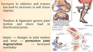 The mcl is covered by tendons that shield it from trauma and injury. Biomechanics Of Tendon And Ligaments Akhtar Rasulakhtar Rasul Ppt Download