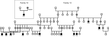 Scielo Brasil Lesch Nyhan Disease And Its Variants Phenotypic And Mutation Spectrum Of Hypoxanthine Guanine Phosphoribosyltransferase Deficiency In Argentine Patients Lesch Nyhan Disease And Its Variants Phenotypic And Mutation Spectrum Of
