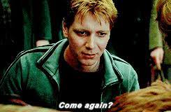 Check spelling or type a new query. Lazy Doodles And Fanfic Price To Pay George Weasley X Fem Reader