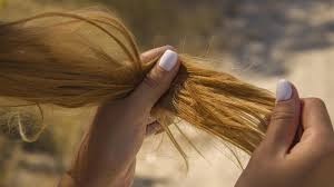 Weitere ideen zu haare balayage, haare, haarfarben. Ohne Schere Oder Frisor Kaputte Haare Reparieren 5 Tricks