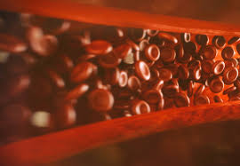 Man skiller gjerne mellom blodpropp i venene og blodpropp i arteriene. Vad Alla Behover Veta Om Blodproppar Kurera Se