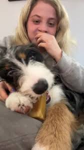 Renee Gracie New Puppy