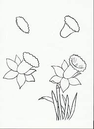 Flowers Flowers Flowers Flower Drawing Easy Flower Drawings Flower Sketches