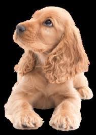 Carolyn Curnow's Instagram, Twitter & Facebook