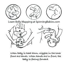 Belly Mapping How To Tell Babys Position In The Womb