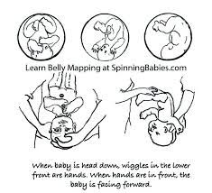 belly mapping how to tell babys position in the womb