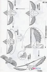 Origami Eagle 6 Jpg 600 908 Xếp Giấy Origami Xếp Giấy Giay