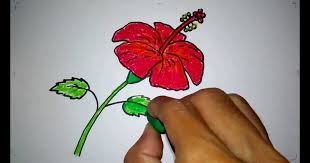 Selanjutnya koleksi gambar sketsa bunga tulip yang indah berwarna hitam putih untuk belajar mewarnai, gambar ini cocok untuk anak kecil belajar mewarnai melalui media sketsa kertas, silahkan di simpan pada komputer, kemudian di print untuk selanjutnya diwarnai. 11 Lukisan Bunga Raya Hitam Putih Gambar Kitan