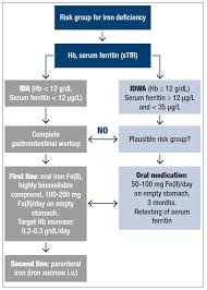 Denise rifai adoptă discursul alinei gorghiu și îl apără pe cîțu: Iron Deficiency Without Anemia Indications For Treatment Gynecological And Reproductive Endocrinology Metabolism
