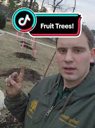 Greenwood Forest Elementary School