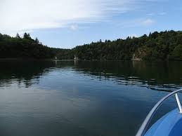 En 1850, le jeune ishmaël a pour intention de quitter la marine m. La Baleine Blanche Sainte Marine 2021 All You Need To Know Before You Go With Photos Tripadvisor