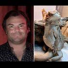 The resemblance is uncanny… “Jack Black vs. Grayson” : r/BeardedDragons