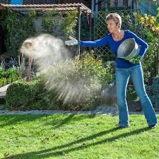 Den Rasen Kalken Garden Deco Garten Garden Types Rasen