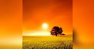 M. C. (Mack) Phillips Obituary