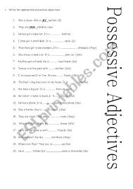 Possessive Adjectives Worksheet Possessive Adjectives Adjective Worksheet Adjectives