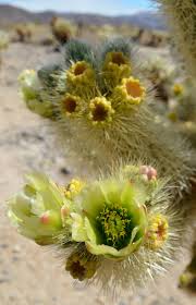 We did not find results for: Pin On Flower Photos