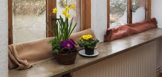 Zugluftdackel Der Zugluftstopper Der Anderen Art