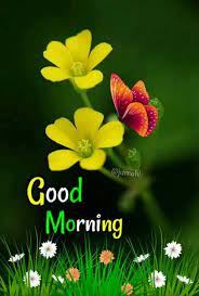 Good Morning Saved By Sriram In 2021 Cute Good Morning Images Beautiful Morning Messages Good Morning Cards