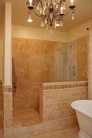 Walk In Shower Bath Design Ideas Pictures Remodel And Decor Showers Without Doors Bathroom Shower Doors Traditional Bathroom