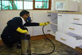 24x7 pest control is one of the reputed pest control company in gurgaon. Rodent Control Services In Gurgaon Rodent Control Solutions In Haryana